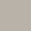 Benjamin Moore's 2108-50 Silver Fox Paint Color