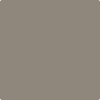 Benjamin Moore's 2111-40 Taos Taupe Paint Color