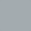 Benjamin Moore's 2125-40 Shadow Gray Paint Color