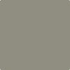 Benjamin Moore's 2137-40 Desert Twilight Paint Color