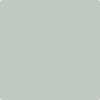 Benjamin Moore's 2139-50 Silver Marlin Paint Color