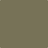 Benjamin Moore's 2142-30 Mountain Moss Paint Color