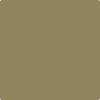 Benjamin Moore's 2143-20 Alligator Green Paint Color