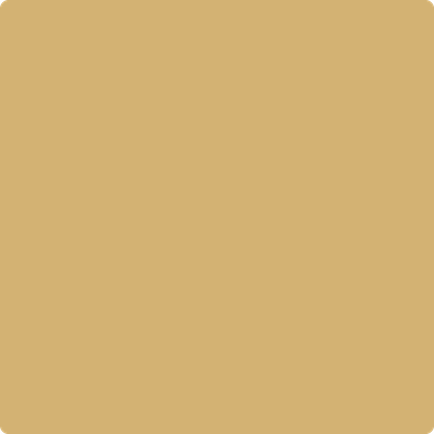 Benjamin Moore's 2153-40 Cork Paint Color