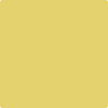 370 Yellow Tone