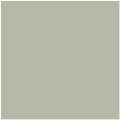Benjamin Moore Color CC-550 October Mist