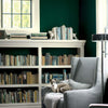 Benjamin Moore's 2041-10 Hunter Green; Color Trends 2019 in family room.