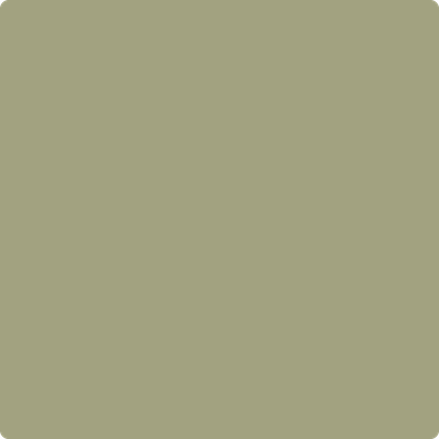 Benjamin Moore Color AF-405 Thicket
