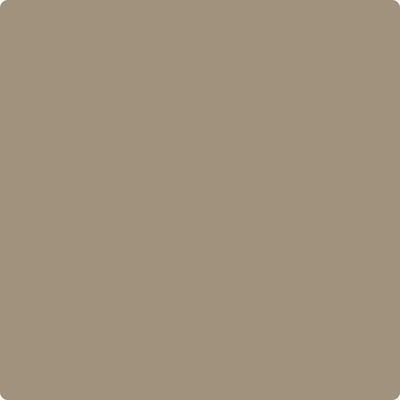 CC-576 Nordic Gray Paint Brush Mock Up