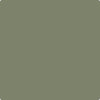 Benjamin Moore Color CC-600 Mossy Oak