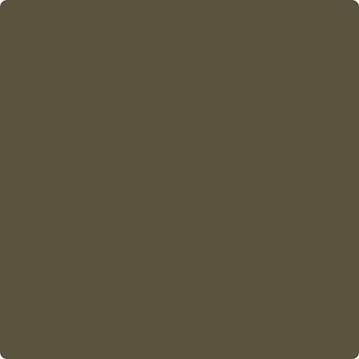 CC-662 Night Owl Wet & Dry Color Sample