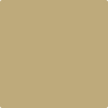 Benjamin Moore Colour CSP-1005 Golden DIvan