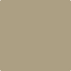 Benjamin Moore Colour CSP-1040 Shiitake Mushroom