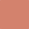 Benjamin Moore Colour CSP-1115 Tropical Fruit