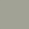 Benjamin Moore Colour CSP-760 Oil Cloth