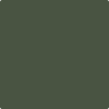 Benjamin Moore Colour CSP-810 Chimichurri