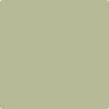 Benjamin Moore Colour CSP-835 Spring has Sprung