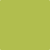 Benjamin Moore Colour CSP-865 Limeade