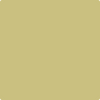 Benjamin Moore Colour CSP-885 Turkish Bay Leaf