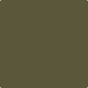 Benjamin Moore Colour CSP-900 Jungle Canopy