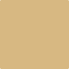 Benjamin Moore Colour CSP-975 Walk of the Beach