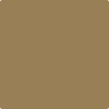 Benjamin Moore Colour CSP-985 Iced Coffee