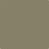 Benjamin Moore Color HC-112 Tate Olive