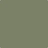 Benjamin Moore Color HC-122 Great Barrington Green